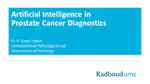 Artificial Intelligence in Prostate Cancer Diagnostics