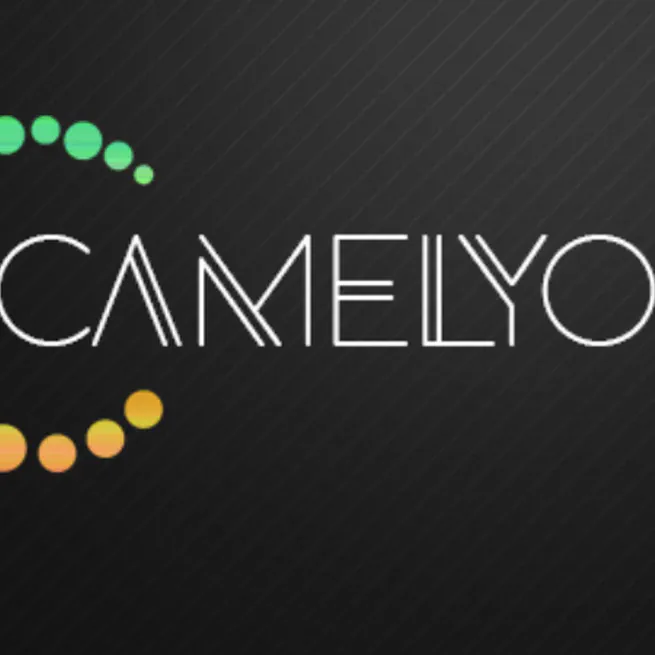 Getting Started With Camelyon (Part 1)